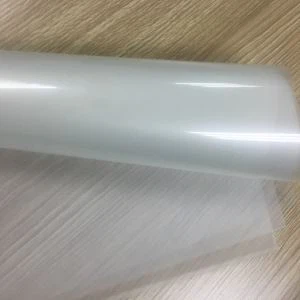 תיקון עובש PET הסרט